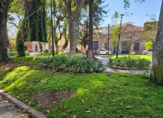 A green lung with history in the heart of Morelia