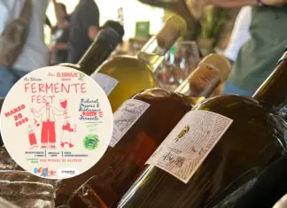 Unlimited tastings for 350 pesos: this is what Fermente Fest 2026 will be like in Guanajuato