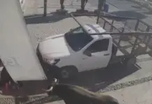 Terrifying! Moment a bull escapes and charges at a family in Pedro Escobedo, Querétaro
