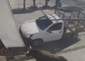Terrifying! Moment a bull escapes and charges at a family in Pedro Escobedo, Querétaro
