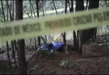 A clandestine grave has been located in La Paz, Baja California Sur.