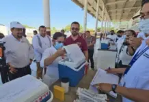 Guatemala and Chiapas join forces to prevent measles