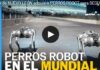 Four-legged police officers: robot dogs for the 2026 World Cup in Monterrey