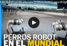 Four-legged police officers: robot dogs for the 2026 World Cup in Monterrey