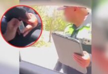 National: Traffic officer caught receiving a bribe in Tulum, Quintana Roo