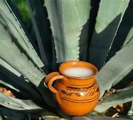 Pulque of San Luis Potosí: living heritage of the desert and symbol of cultural resistance