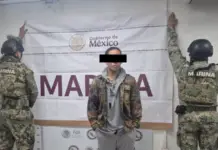 Foreign subject falls for possession of a tiger “Phantera Tigris” in Puerto Vallarta; specimen is approximately one year old