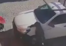 Toro escapes in Querétaro and rams six people; A five-year-old girl among the injured | VIDEO