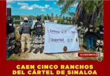 NARCO HIT IN EASTERN YUCATAN!