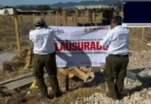 Irregular Construction Projects Closed in San Cristóbal’s Chiapas, protected natural areas such as humedales and mountain reserves