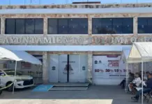 Purge of aviators in Tulum leaves more than 100 casualties on municipal payroll