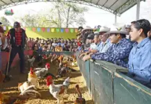 Nacho Nagaya Accused of Promoting Violence and Animal Cruelty in Villacorzo