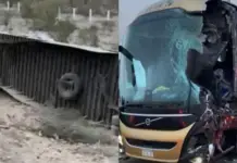 Authorities Release Full List of Victims in Sonora Bus‑Trailer Crash