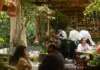 Sunlight Patios and Hidden Gardens: Mexico City Mansions Serving Exceptional Food