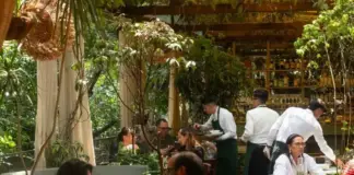 Sunlight Patios and Hidden Gardens: Mexico City Mansions Serving Exceptional Food