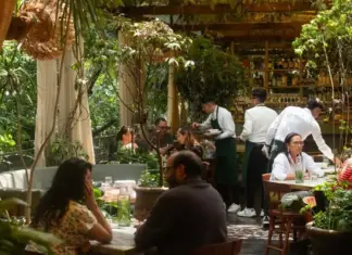 Sunlight Patios and Hidden Gardens: Mexico City Mansions Serving Exceptional Food