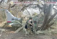 Clandestine aircraft carrying more than half a ton of drugs seized in Oaxaca