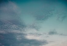 This month, Puerto Vallarta has scheduled 16 international cruise ship arrivals