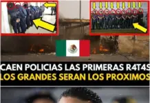 Shock in Michoacán: Municipal Police Found Working for Cartels