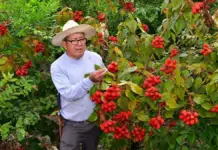 Recruitment opens for Tabasco farmworkers to work abroad
