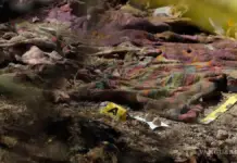 The number of bodies and skeletal remains found is increasing in Navolato, Sinaloa.