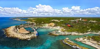 The Mayan Jungle is not an amusement park: what is happening in Mahahual and Cozumel?