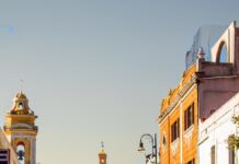 Cuernavaca declares five ahuehuetes from Chalchihuapan as notable trees in the city