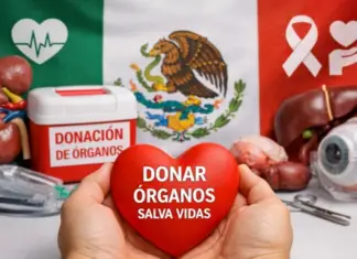 Despite efforts, organ donation is expected to be low in Zacatecas in 2025