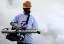 Quintana Roo and Yucatán, among the 15 states with the most dengue in 2026