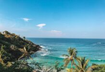 Mad Cow: New Puerto Rican Film in Puerto Escondido and Areas of Influence