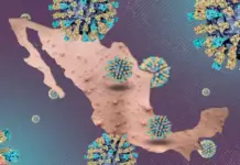 Why is measles reappearing in Mexico and what is causing it?