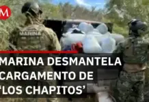 Navy deals 594 million peso blow to ‘Los Chapitos’ in Baja California Sur