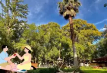 3 ideal places if you want to celebrate February 14th in Durango with a romantic picnic