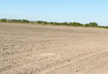 Mexico complies with US demands, but leaves Tamaulipas without water.