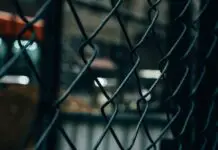 Over 10,400 Veracruz Residents Deported from the U.S. in 2025