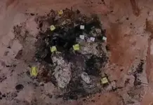 In one month, 14 clandestine graves and 28 remains have been found in Mexicali.