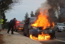 At least 15 vehicles were set on fire in Guadalajara; authorities are investigating the causes