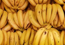 Mexican and International Banana Congress rescheduled for May