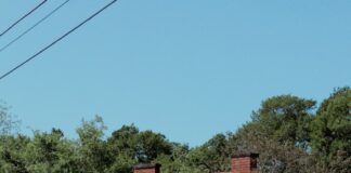 Cancun: abandoned buildings and premises rescued in the hotel zone