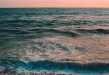 VIDEO | Who took the beach? In Olas Altas, the sand has “shrunken,” and the sea has the answer