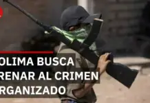 MC deputies propose creating a law against the recruitment of minors in Colima