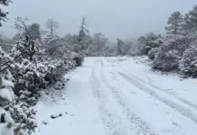 What’s the difference between snow and sleet? They are expected in the mountains of Chihuahua and Durango.