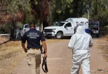 The number of bodies found in a mass grave in Guanajuato belonging to the Santa Rosa de Lima Cartel has risen to 43.