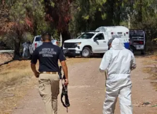 The number of bodies found in a mass grave in Guanajuato belonging to the Santa Rosa de Lima Cartel has risen to 43.