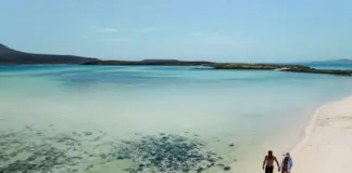 Is it safe to travel to Cancun now? Here’s what the travel alert says about the dangers in Quintana Roo.