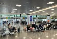 Panama–Los Cabos route exceeds 80% occupancy