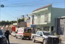 FED UP WITH INSECURITY IN TIJUANA! SHOPKEEPER BLOWN TO HIS GUN DISARMS THIEF AND SENDS HIM TO THE MOTHERHOUSE