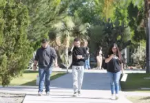 70% of professionals in Durango work without a professional license