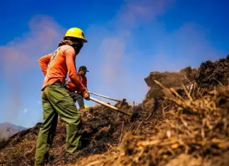 Following devastating fire, access hours will be imposed on Cerro de San Juan, Nayarit