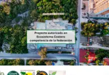 Organizations in Quintana Roo are asking Semarnat to review the actions of the state environmental authority